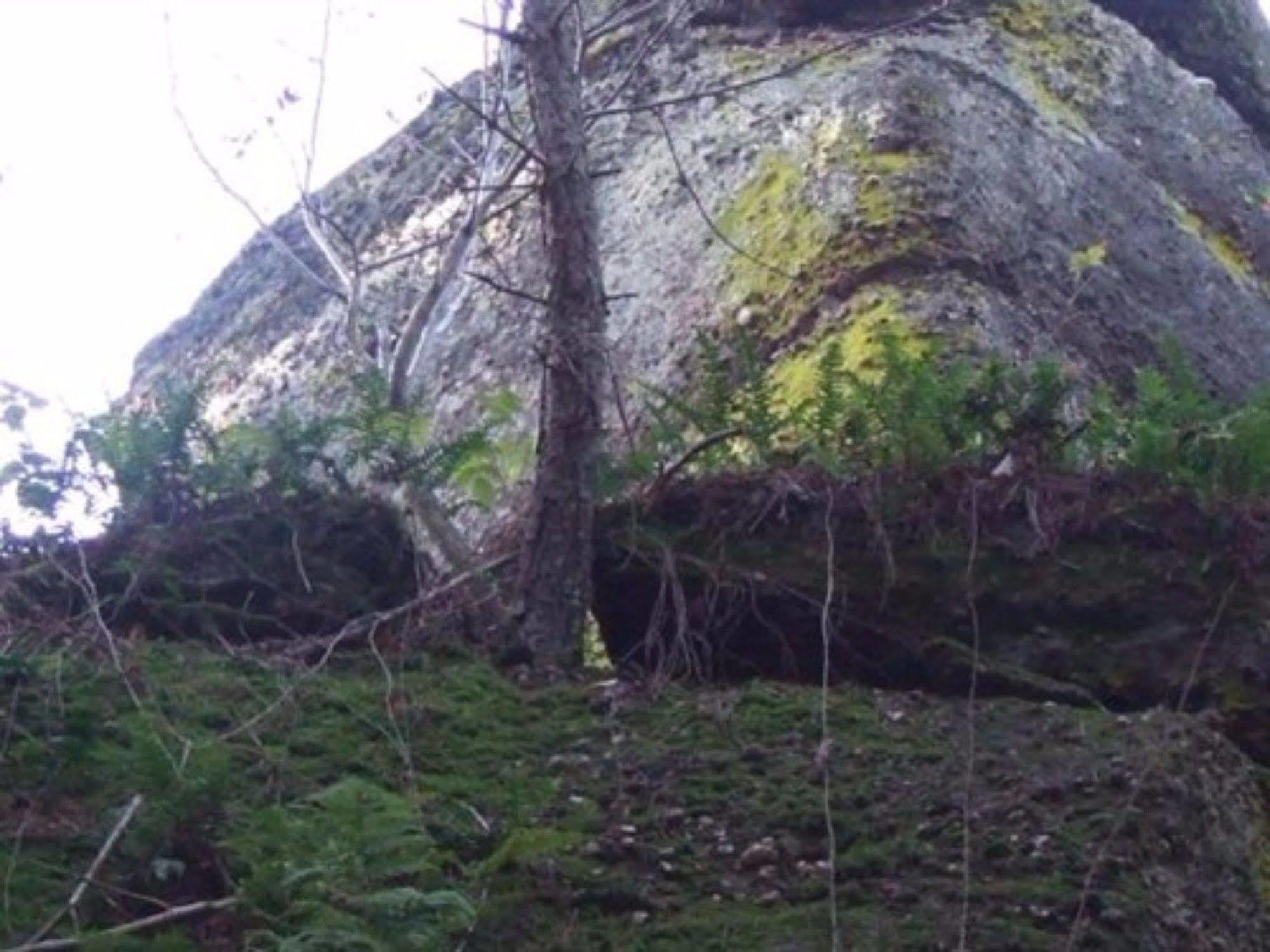 Auberge D'Hotes L'Instant Le Hohwald Bagian luar foto