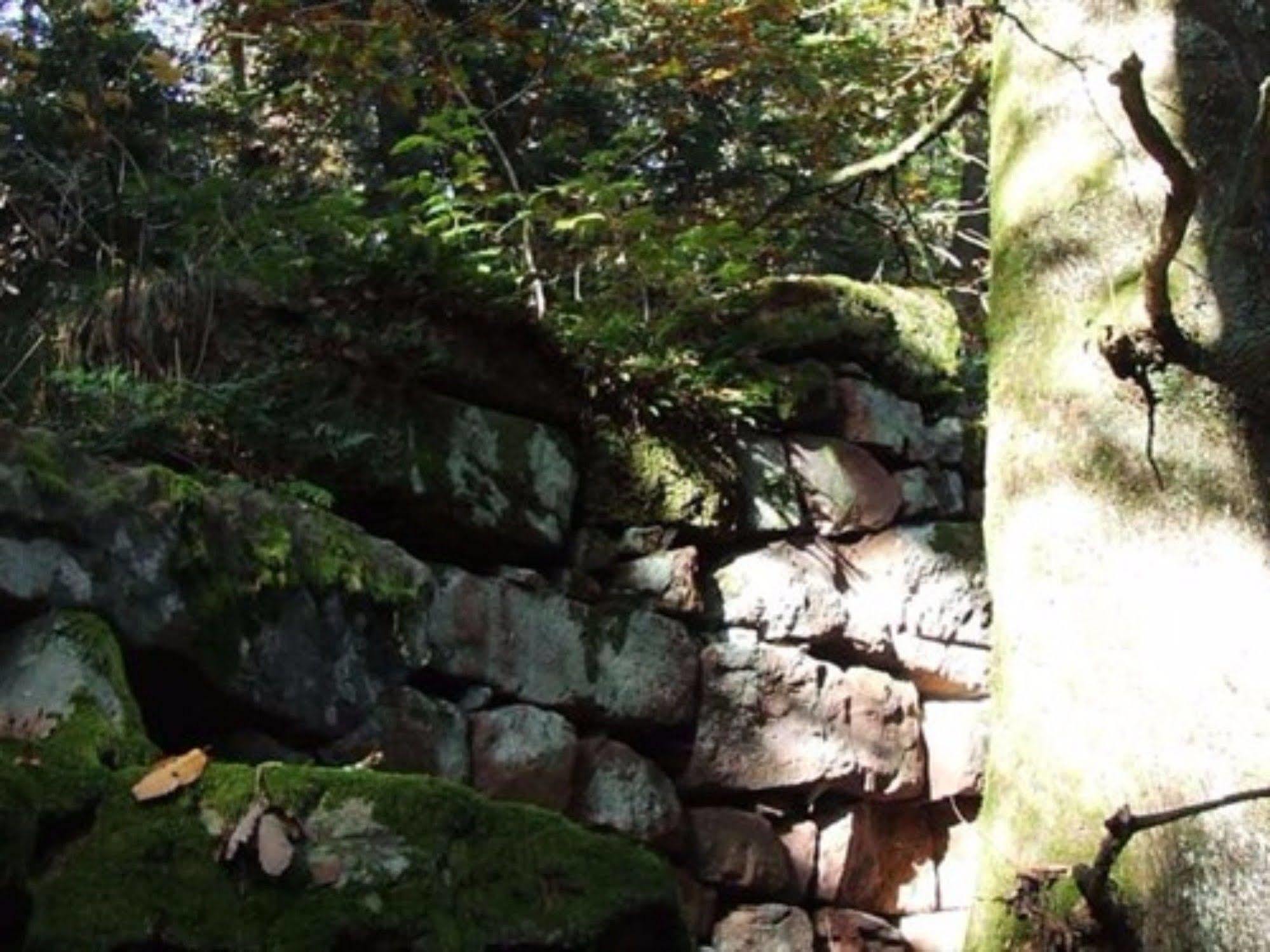 Auberge D'Hotes L'Instant Le Hohwald Bagian luar foto