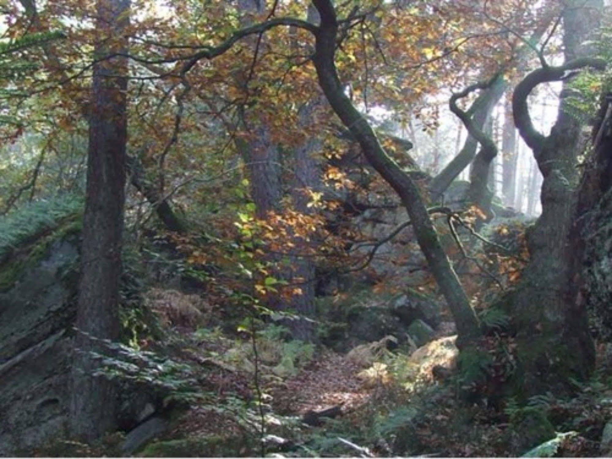 Auberge D'Hotes L'Instant Le Hohwald Bagian luar foto